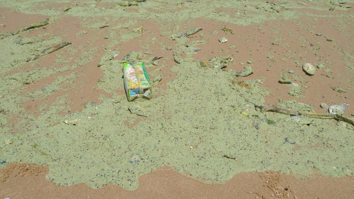 Kết luận nguy&ecirc;n nh&acirc;n nước biển B&atilde;i Sau Vũng T&agrave;u đổi m&agrave;u đỏ, xanh - Ảnh 2.