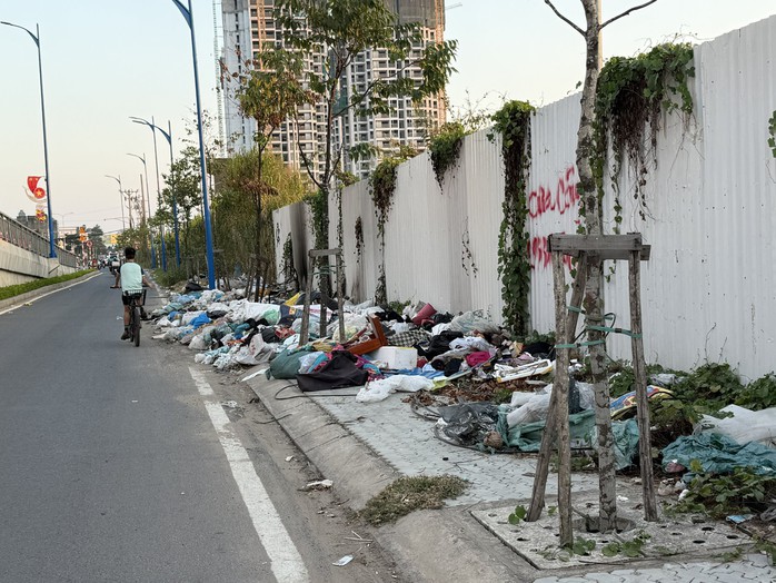 Bãi rác "tra tấn" người đi đường - Ảnh 1.