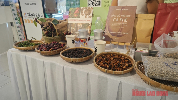 Gi&aacute; c&agrave; ph&ecirc; h&ocirc;m nay 5 - 4 v&agrave; kịch bản giảm gi&aacute; trong năm 2026 - Ảnh 3.