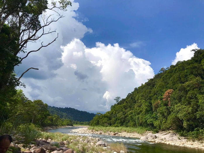 Một lo&agrave;i thằn lằn mới vừa được ph&aacute;t hiện tại Vườn Quốc gia Vũ Quang - Ảnh 4.