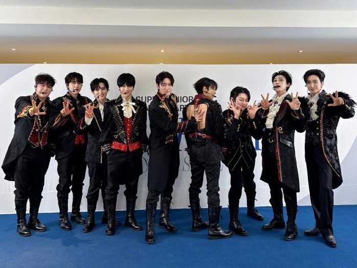 Nhóm Super Junior xin lỗi, hỗ trợ y tế khán giả gặp tai nạn - Ảnh 1.