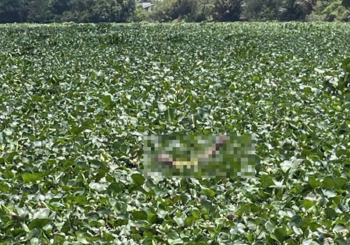 Ph&aacute;t hiện thi thể 2 trẻ nhỏ đuối nước tr&ecirc;n s&ocirc;ng V&agrave;m Cỏ T&acirc;y tại T&acirc;y Ninh - Ảnh 1.