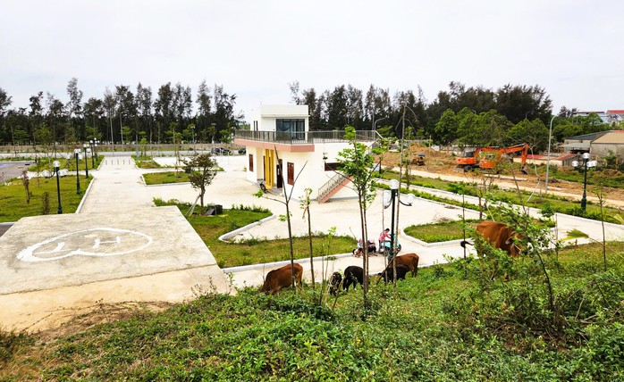 S&acirc;n Pickleball "mọc như nấm" trong Khu lưu niệm đồng b&agrave;o miền Nam tập kết ra Bắc - Ảnh 3.