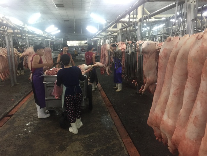 Gi&aacute; heo hơi h&ocirc;m nay, 7-4: Chợ đầu mối đẩy gi&aacute; l&ecirc;n - Ảnh 1.