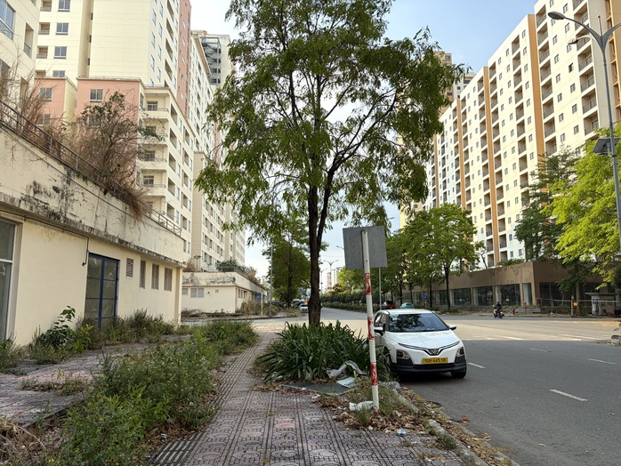 Rà soát quỹ nhà tái định cư sau chỉ đạo của Bí thư Thành ủy TPHCM - Ảnh 1.