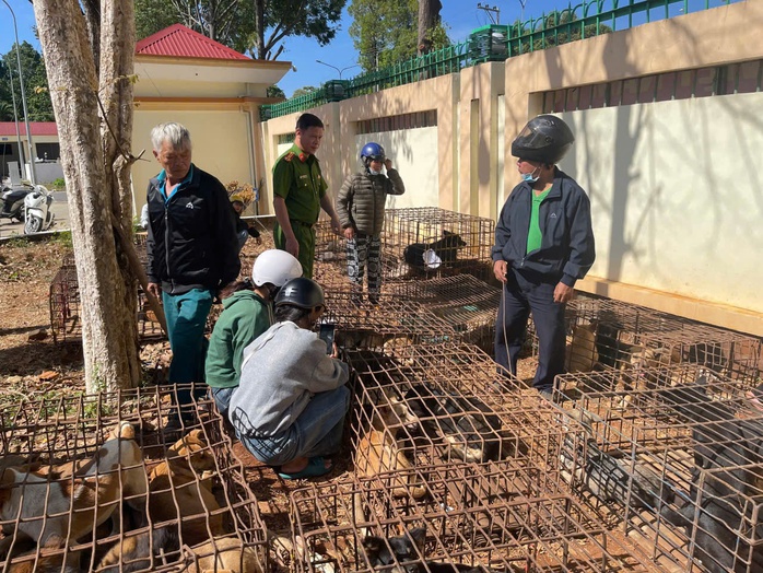 Bắt tạm giam 2 đối tượng trộm chó tại Đắk Lắk năm 2026 - Ảnh 1. Bắt tạm giam 2 đối tượng trộm chó tại Đắk Lắk năm 2026 - Ảnh 1.
