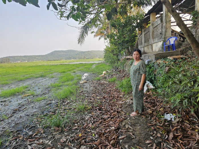 Ruộng đồng bỏ hoang v&igrave; nhiễm mặn - Ảnh 1.