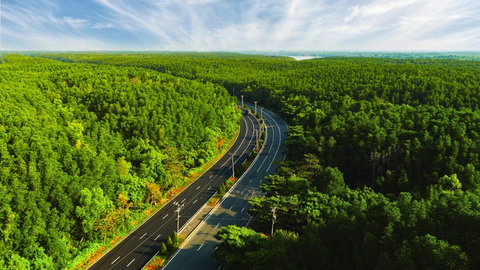 Giải đi bộ ba thế hệ Green Family Walk: Tuổi v&agrave;ng, tuổi trẻ v&agrave; tuổi thơ chung nhịp bước  - Ảnh 2.