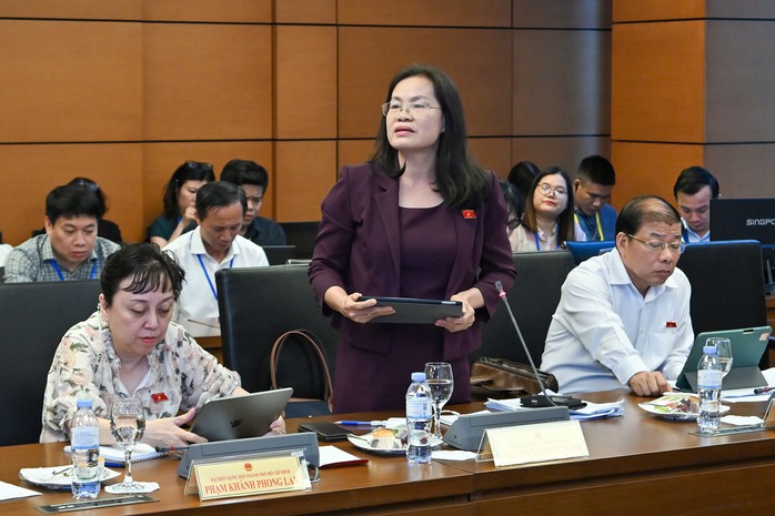 Sửa Luật Thủ đ&ocirc;: Tiền đề cho Luật Đ&ocirc; thị đặc biệt tại TPHCM - Ảnh 3.