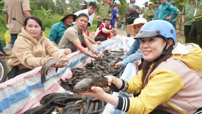 Thử th&aacute;ch đi cầu khỉ tại sự kiện "Hương rừng U Minh" - Ảnh 1.
