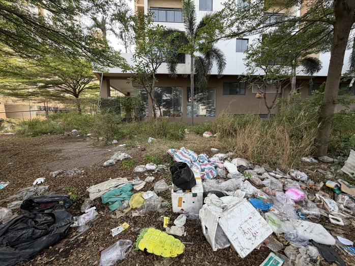 TPHCM: 74 điểm &ocirc; nhiễm c&ograve;n tồn đọng r&aacute;c - Ảnh 1.