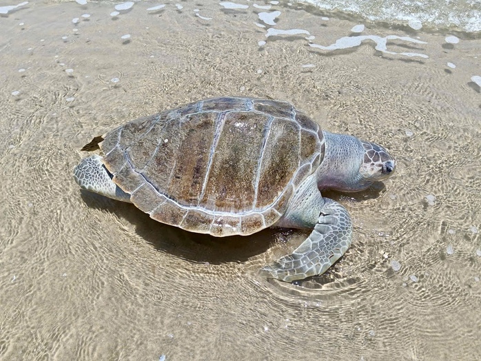 Th&ocirc;ng tin nổi bật ở TPHCM ng&agrave;y 9-4 - Ảnh 5.