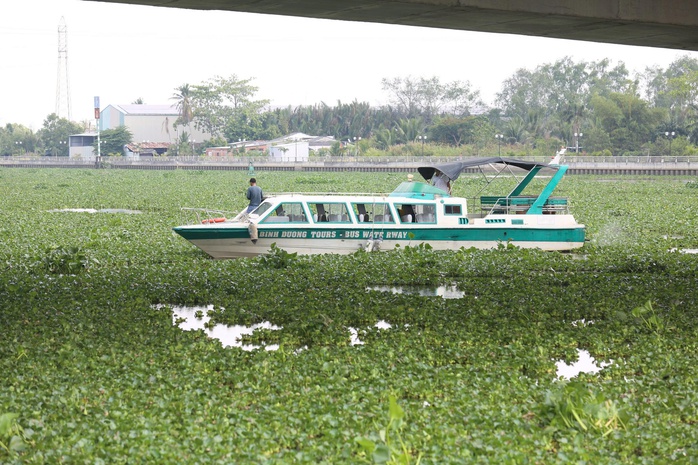 Người đàn ông Cần Thơ nhảy cầu ở Tây Ninh , để lại xe máy và điện thọai - Ảnh 3. Người đàn ông Cần Thơ nhảy cầu ở Tây Ninh , để lại xe máy và điện thọai - Ảnh 3.