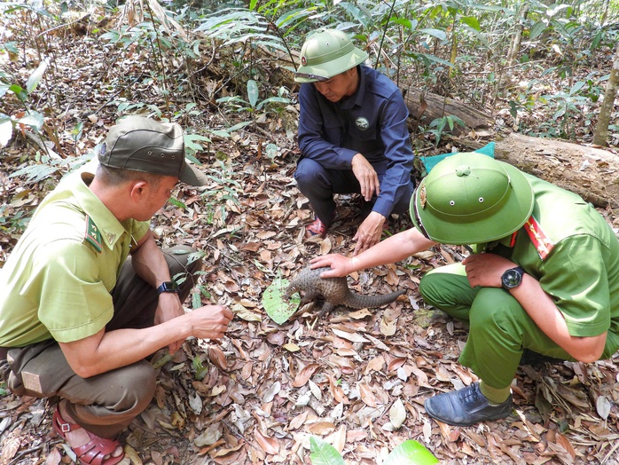 T&aacute;i thả động vật nguy cấp tại Vườn Quốc gia Kon Ka Kinh năm 2026 - Ảnh 1.