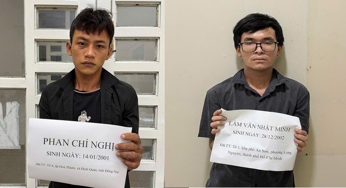 2 Đối tượng trộm cắp t&agrave;i sản bị bắt ở Đồng Nai - Ảnh 1.