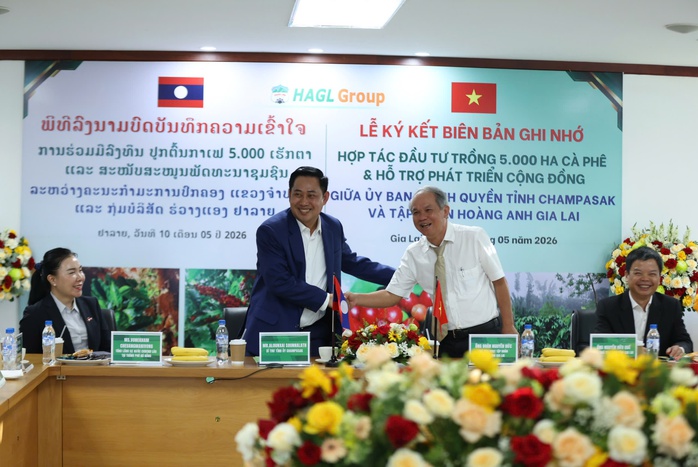 Gi&aacute; c&agrave; ph&ecirc; h&ocirc;m nay 11 - 5: 50 Triệu USD đầu tư trồng c&agrave; ph&ecirc; tại L&agrave;o - Ảnh 4.