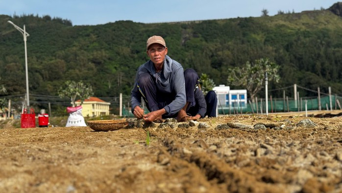 L&yacute; Sơn "kh&aacute;t" nước ngọt - Ảnh 1.