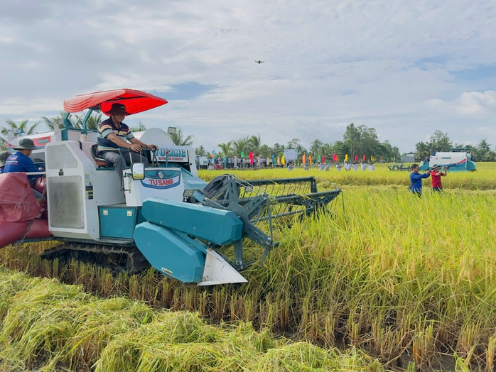 Gạo ph&aacute;t thải thấp tạo lợi thế cạnh tranh mới - Ảnh 1.