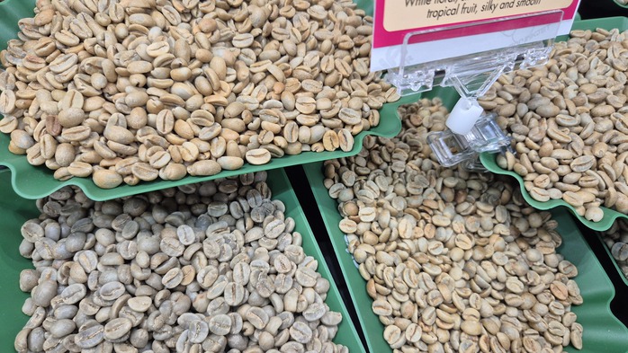 Gi&aacute; c&agrave; ph&ecirc; h&ocirc;m nay 14-5: Robusta tăng mạnh, doanh nghiệp Việt nổi bật ở thủ phủ c&agrave; ph&ecirc; L&agrave;o - Ảnh 1.