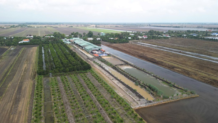 T&acirc;y Ninh xử phạt C&ocirc;ng ty TNHH Nh&agrave; Ph&uacute;c Hậu vi phạm m&ocirc;i trường hơn 170 triệu đồng - Ảnh 1.