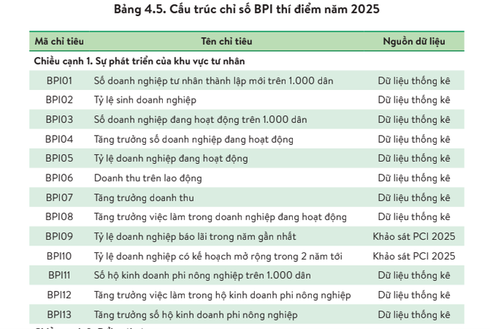 TPHCM dẫn đầu cả nước về Chỉ số Hiệu quả Kinh tế tư nhân - Ảnh 1.