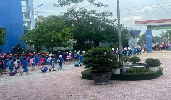 Hiệu trưởng Trường Tiểu học Lương Thế Vinh nói gì sau khi xin thôi chức? - Ảnh 2.