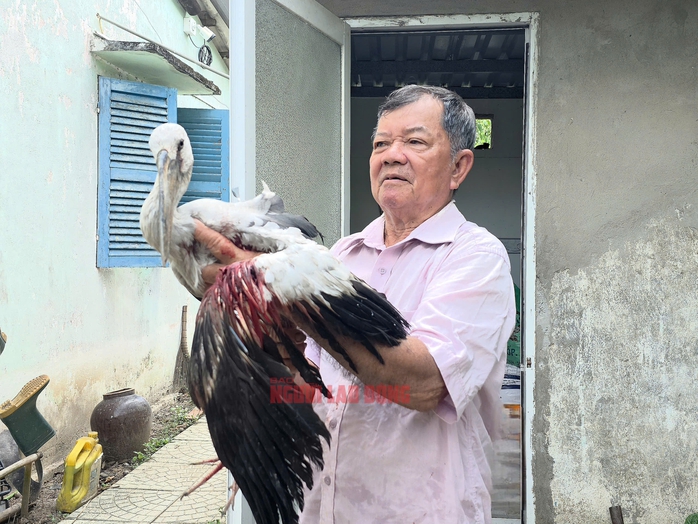 Vườn chim nổi tiếng đứng trước nguy cơ "xo&aacute; sổ", Chủ tịch UBND tỉnh Vĩnh Long chỉ đạo - Ảnh 3.