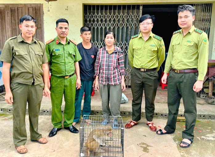 "Tôn ngộ không" đi lạc vào khu dân cư, người dân bắt giao nộp công an - Ảnh 1.