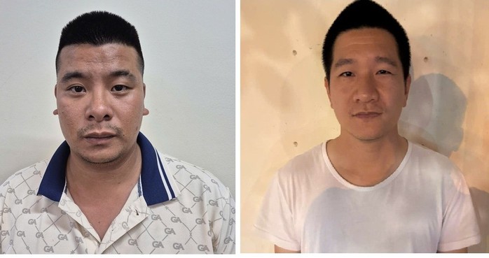 Bản chất đại án bản quyền số - Ảnh 5.