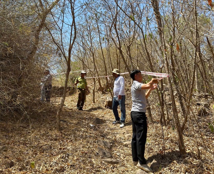 "Cung đường xanh" giữa lòng Vũng Tàu - Ảnh 1.