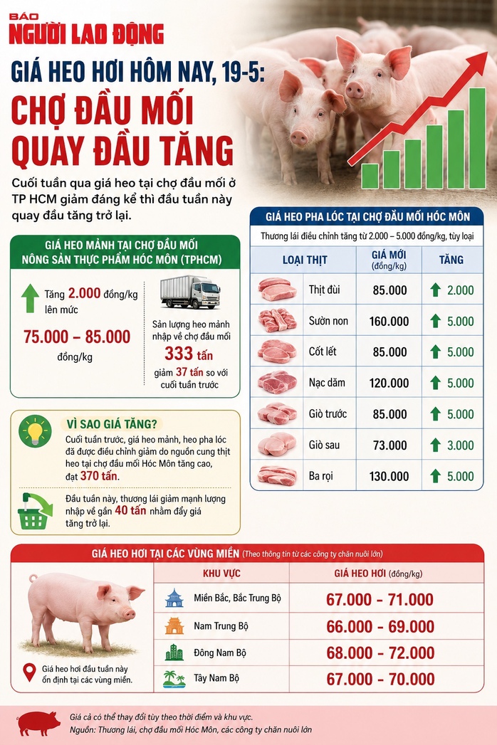 Gi&aacute; heo hơi h&ocirc;m nay, 19-5: Chợ đầu mối quay đầu tăng - Ảnh 2.