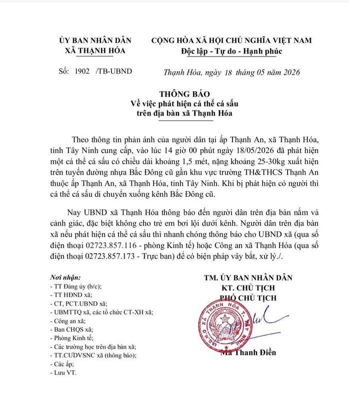 Th&ocirc;ng b&aacute;o khẩn việc c&aacute; sấu xuất hiện ở T&acirc;y Ninh  - Ảnh 1.