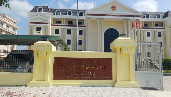 Lý do hoãn phiên xét xử vụ án liên quan bà Nguyễn Thị Thanh Nhàn - Ảnh 1.
