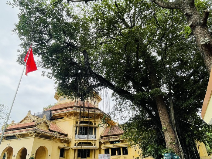 Kỳ 2: Ly kỳ vụ trộm ấn v&agrave;ng của Ho&agrave;ng hậu Nam Phương  - Ảnh 1.