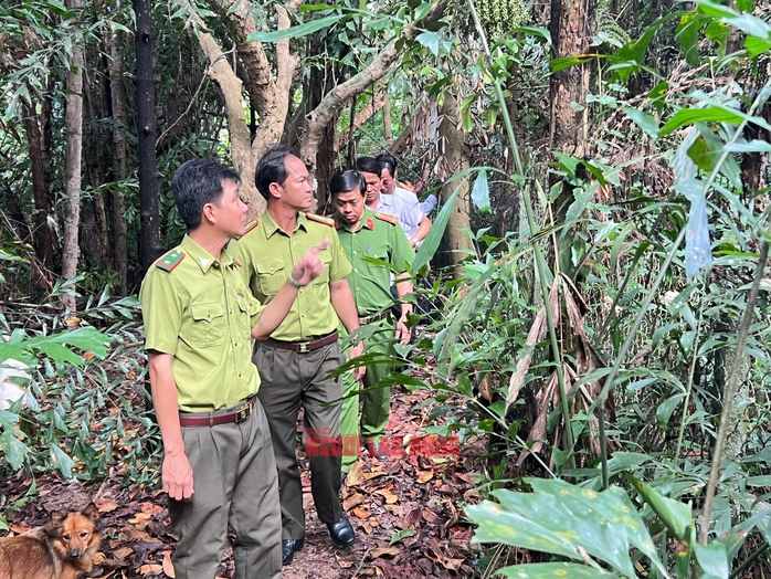 Vườn chim Hai Chìa ở Vĩnh Long: Lực lượng chức năng khảo sát cứu trợ - Ảnh 2. Vườn chim Hai Chìa ở Vĩnh Long: Lực lượng chức năng khảo sát cứu trợ - Ảnh 2.
