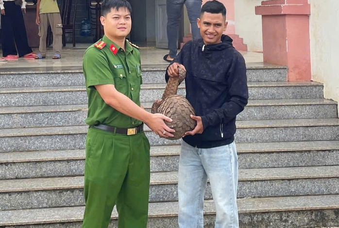 Người dân Đắk Lắk giao nộp động vật qúy hiếm tê tê Java và chim diều hoa Miến Điện - Ảnh 1.