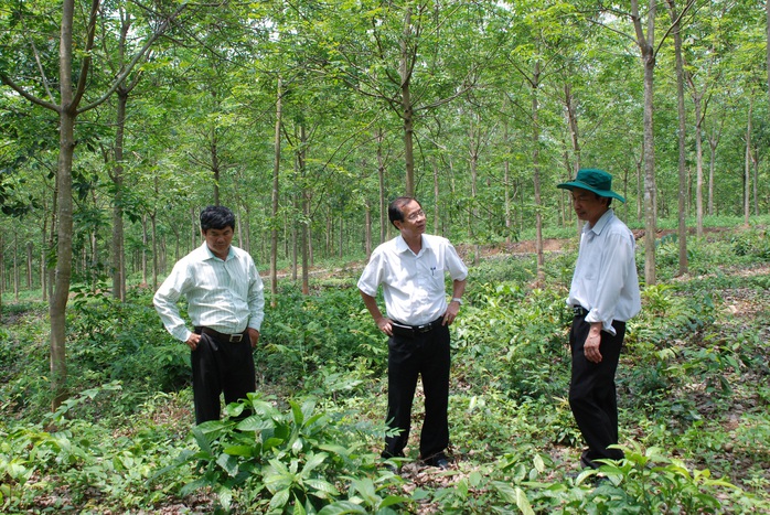Học Bác tinh thần trách nhiệm, sáng tạo - Ảnh 1.