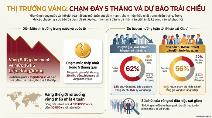  Dự báo mới nhất sau khi rớt về thấp nhất 4 tuần - Ảnh 1.
