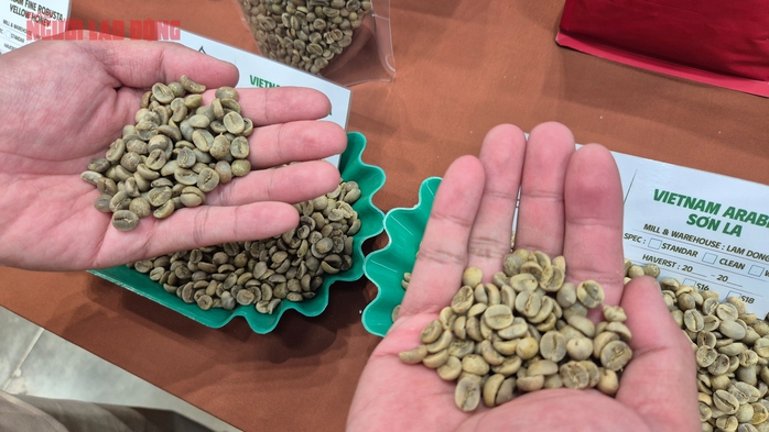 Giá cà phê hôm nay 24 - 5: Tình hình thị trường Arabica tại Việt Nam 2026 - Ảnh 2. Giá cà phê hôm nay 24 - 5: Tình hình thị trường Arabica tại Việt Nam 2026 - Ảnh 2.