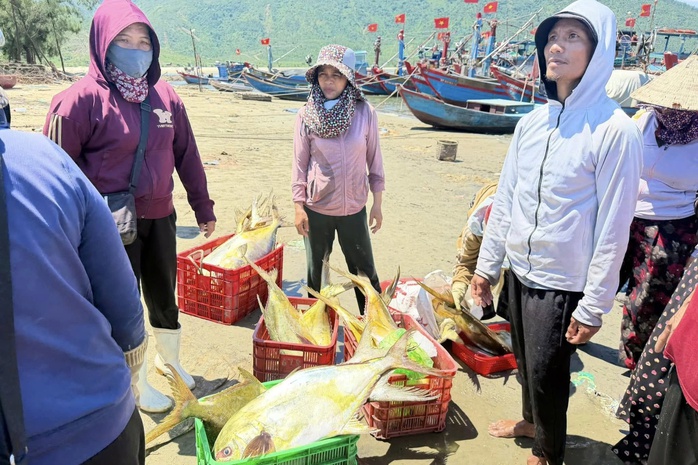 Ngư dân phấn khởi khi trúng đậm “lộc biển” - Ảnh 6.