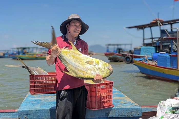Ngư dân phấn khởi khi trúng đậm “lộc biển” - Ảnh 7.