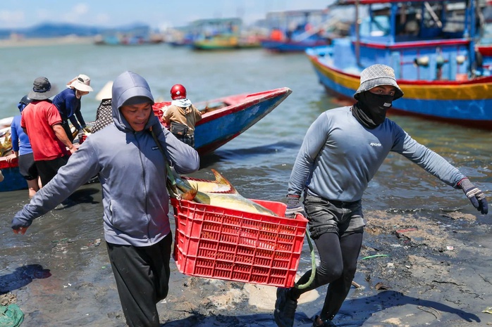 Ngư dân phấn khởi khi trúng đậm “lộc biển” - Ảnh 9.
