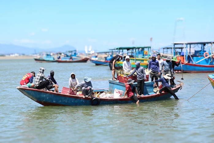 Ngư dân phấn khởi khi trúng đậm “lộc biển” - Ảnh 2.