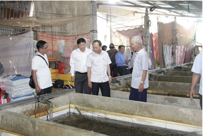 Giải pháp cho hàng ngàn tấn lươn ở miền Tây trong nuôi lươn không bùn 2026 - Ảnh 3. Giải pháp cho hàng ngàn tấn lươn ở miền Tây trong nuôi lươn không bùn 2026 - Ảnh 3.