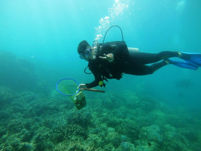 Khoanh v&ugrave;ng bảo vệ san h&ocirc; vịnh Nha Trang - Ảnh 1.