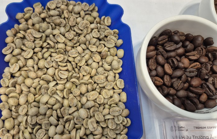Gi&aacute; c&agrave; ph&ecirc; h&ocirc;m nay 28 - 5: Arabica giảm mạnh , &aacute;p lực từ sản lượng tăng - Ảnh 2.