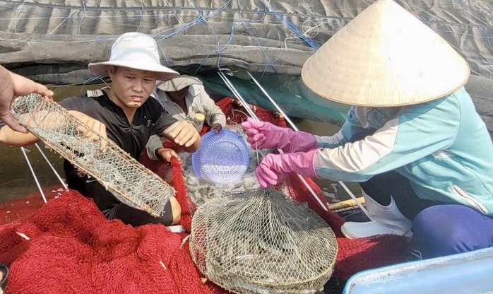 Mời bạn đọc tham gia Cuộc thi T&igrave;m hiểu ng&agrave;nh nghề n&ocirc;ng th&ocirc;n v&agrave; bảo vệ m&ocirc;i trường n&ocirc;ng th&ocirc;n TPHCM - Ảnh 1.