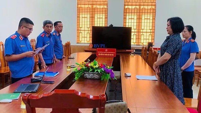 Nguyên Chi cục trưởng Thi hành án dân sự Nguyễn Thị Phương Lan bị bắt vì sai phạm gì? - Ảnh 1.