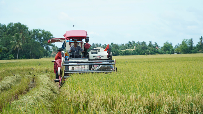 Bảo tồn, t&ocirc;n vinh văn minh l&uacute;a nước - Ảnh 1.