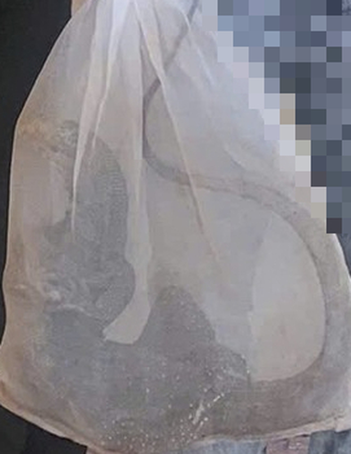 Phát hiện bao lưới chứa con vật quý hiếm rơi giữa đường - Ảnh 2. Phát hiện bao lưới chứa con vật quý hiếm rơi giữa đường - Ảnh 2.